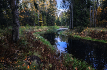 Herbstwald / ***