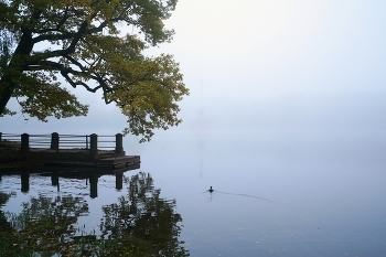 Herbst / ***