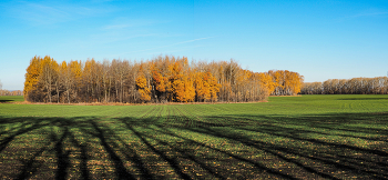 Autumn Kontraste / ***