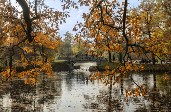 Autumn Gatchina / ***