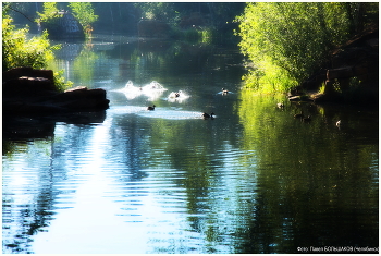 Morgenbad / ***