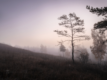 Zeit Nebel / ***