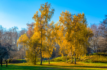 Herbst-Skizzen / ***