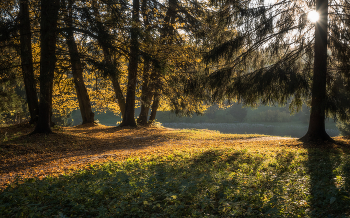 Herbstmorgen / ***