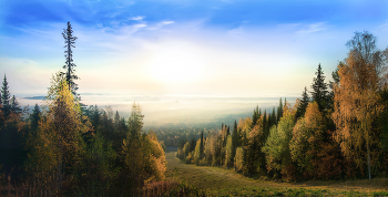 durch den Nebel / ***