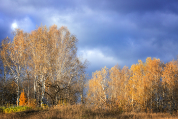 Über Herbst ... / ***