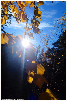 Letzter Strahl / ***