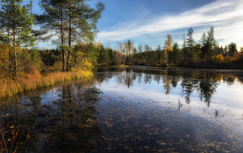 Der Künstler Herbst / ***