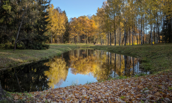 Herbst Überlegungen / ***