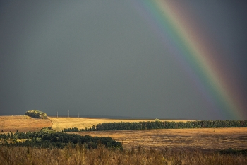 Nach dem Regen / ***