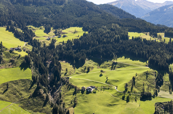 Grüne Landschaft / ...