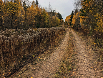 Herbst / #####