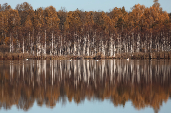 Am See in den Wäldern / ***