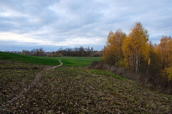 Herbst / ***