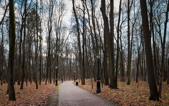 Im Herbst des Parks ... / ***