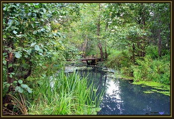 Brücke / &quot; &quot; &quot;