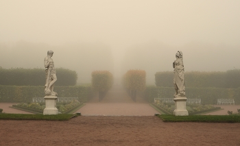 Nebliger Morgen / ***