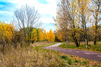 Herbst-Skizzen / ***