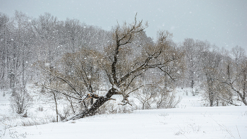 Schnee fiel ... / ...