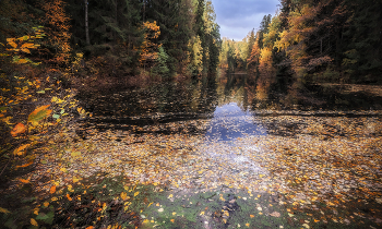 Herbst  kommt bald / ***