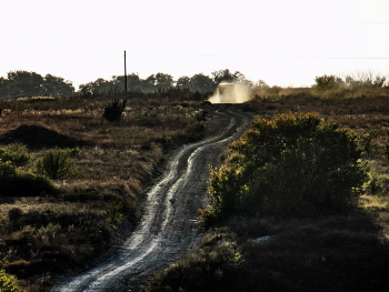 Ah, die Straße ... / ***