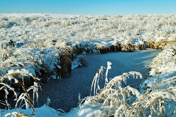 In der Tundra / ***