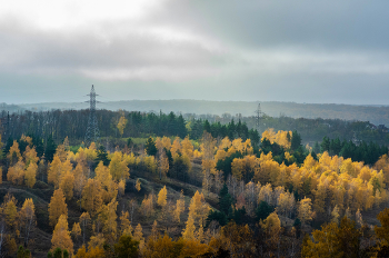 Autumn Gatchina / ***