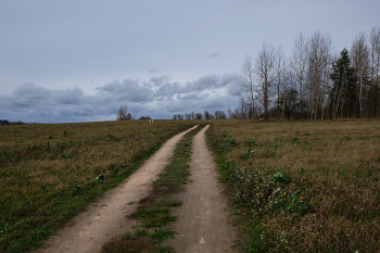 Straße in einem Feld / ***