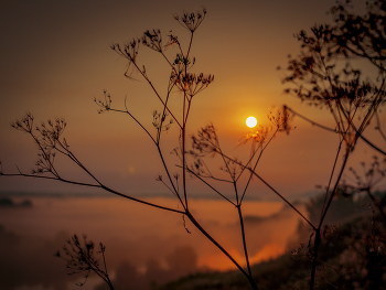 Morgendämmerung / ***