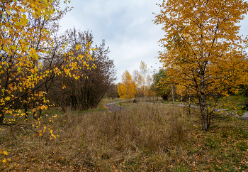 Herbst-Skizzen / ***