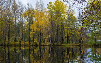 Herbst / ***