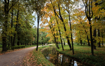 Im Herbst des Parks ... / ***