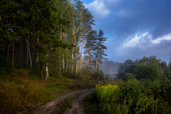 Straße im Nebel / ***