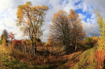 Herbst in der Ortschaft / ***