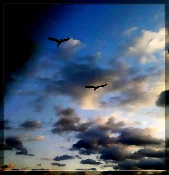 Vor dem Sturm / ***