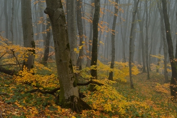 Herbst-Outfit / ***