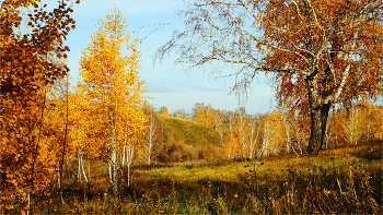 Herbst-Motive / ***