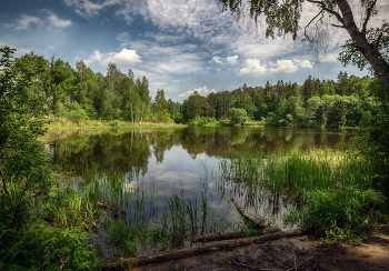 Lazy River / ***