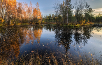 Autumn Kontraste / ***