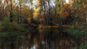 Herbst / ***