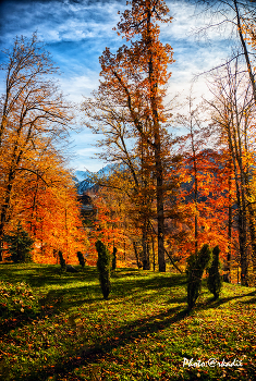 Herbstfarben. / ***