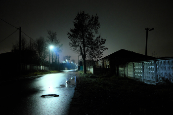 über einen Baum / ***