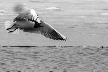 Über dem Wasser / ***