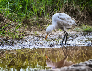 Nach dem Regen / ***