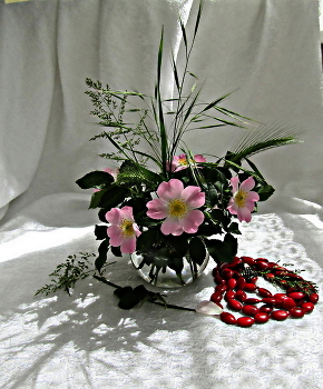 Still Life / ***