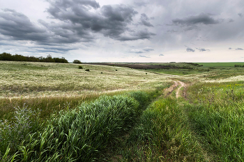 Der Weg für die Seele / ***