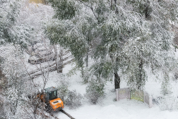 Der erste Schnee / ***