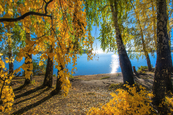 Goldener Herbst / ***