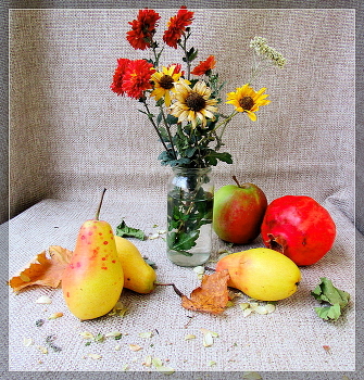 Still Life / ***