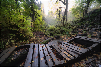 Waldweg / ***